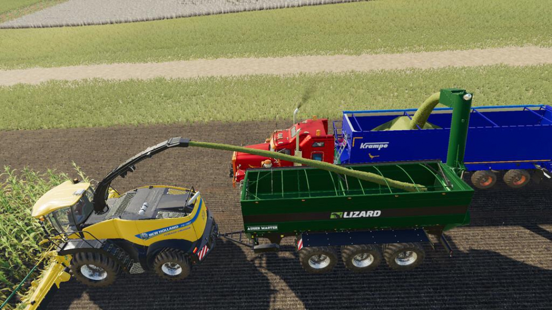 Lizard Auger Master v1.0.0.0