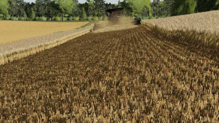 Barley / wheat texture v1.0.0.0 category: Textures