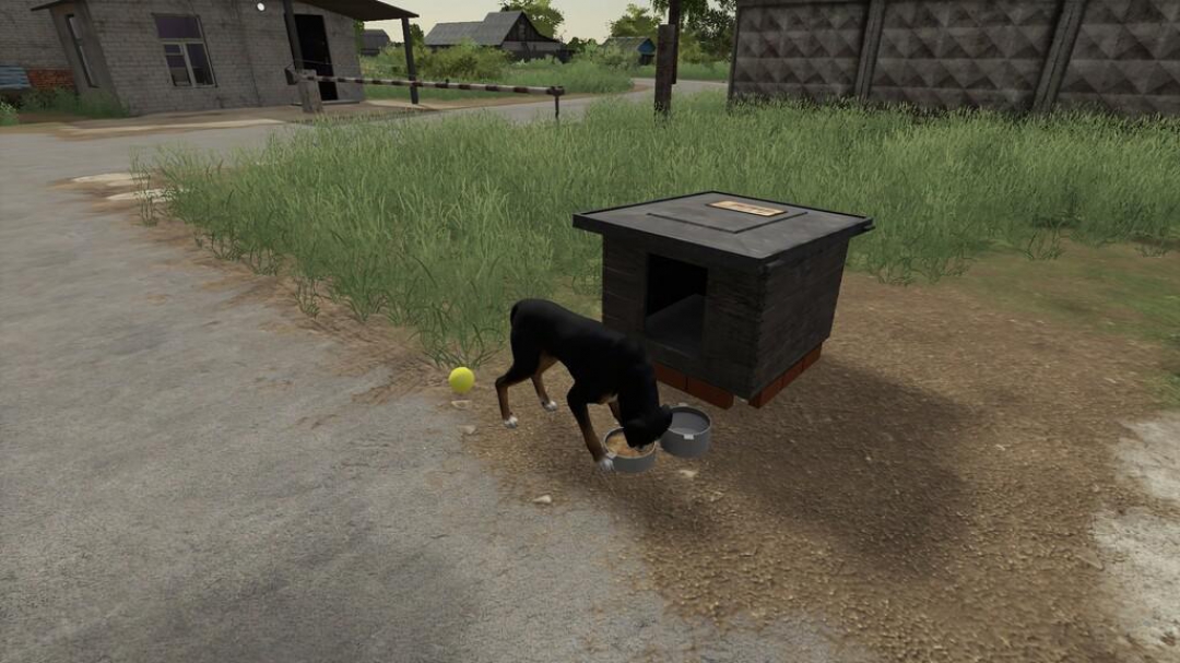 Russian Dog House v1.0.0.0