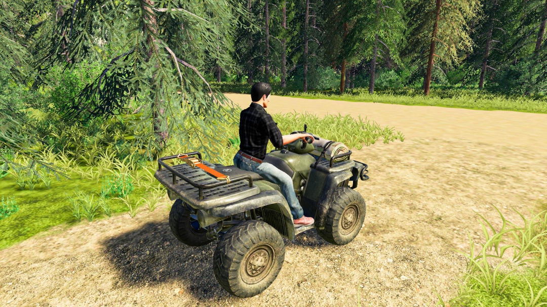 Lizard Quad Bike V1.1.0.0