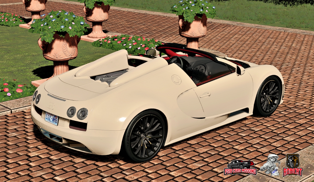 Bugatti Veyron Grand Sport Vitesse