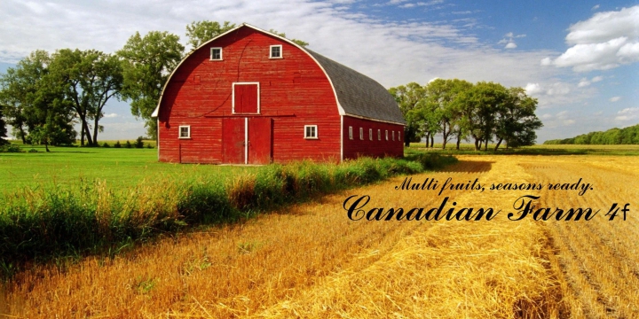 AutoDrive courses for Canadian Farm Map 4f v1.0 category: Other