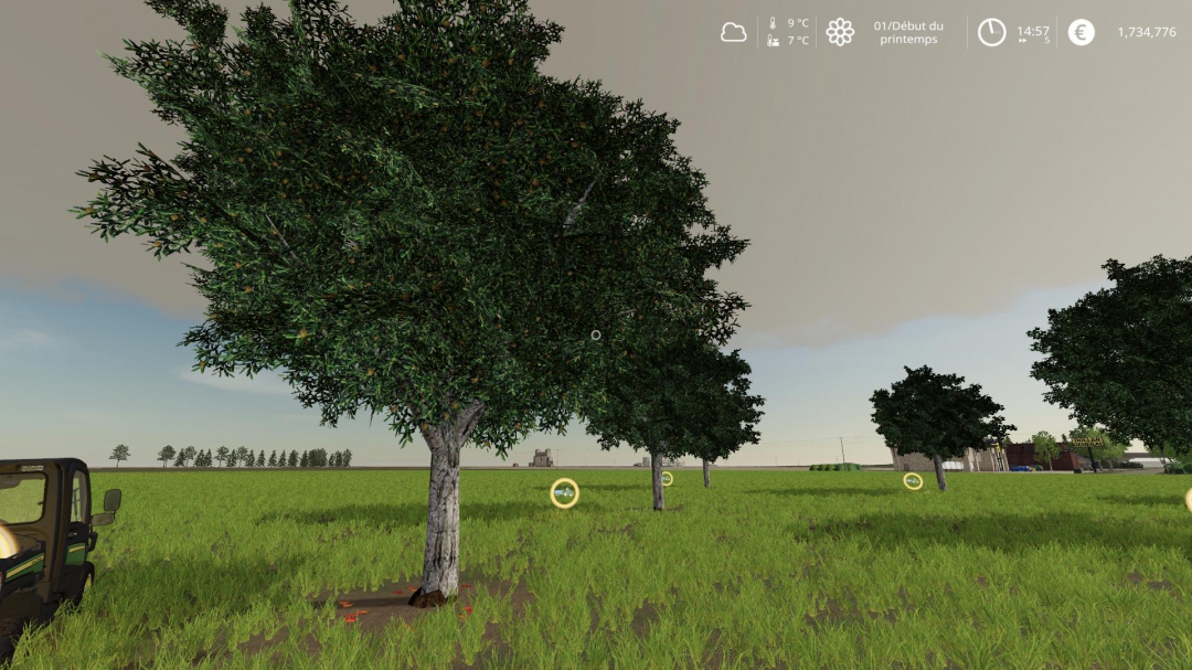 OLIVE TREE TRAILER EDITION v1.0.0.0