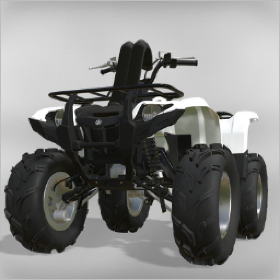 FS19 Yamaha Grizzly on Assinators