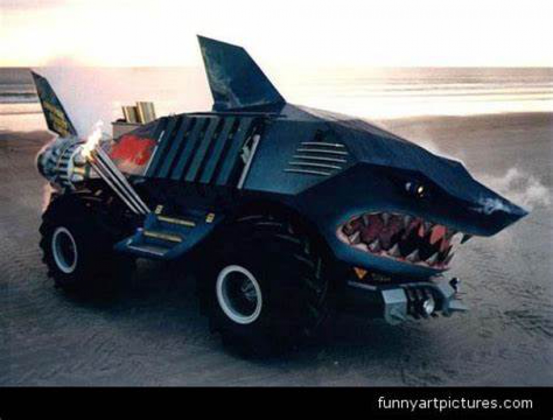 a shark car