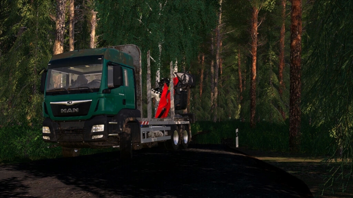 Trucks MAN TGS 33.500 Timber v1.0.0.0