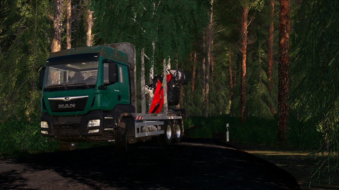 MAN TGS 33.500 Timber v1.0.0.0