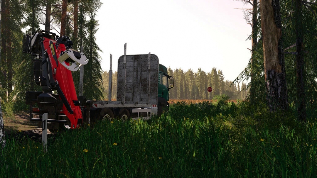 MAN TGS 33.500 Timber v1.0.0.0