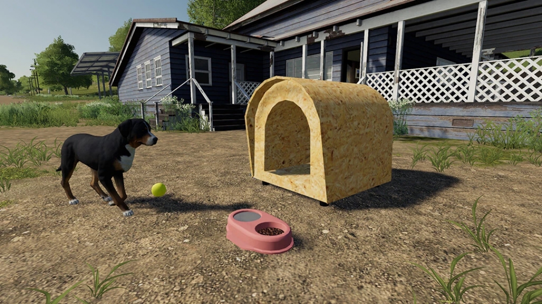 Brazilian Dog House v1.0.0.0