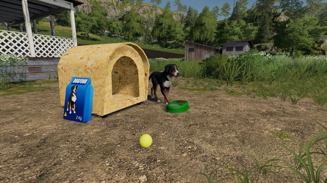 Brazilian Dog House v1.0.0.0