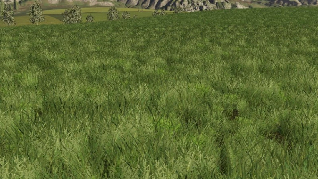 Grass texture for FS19 v1.0.0.0