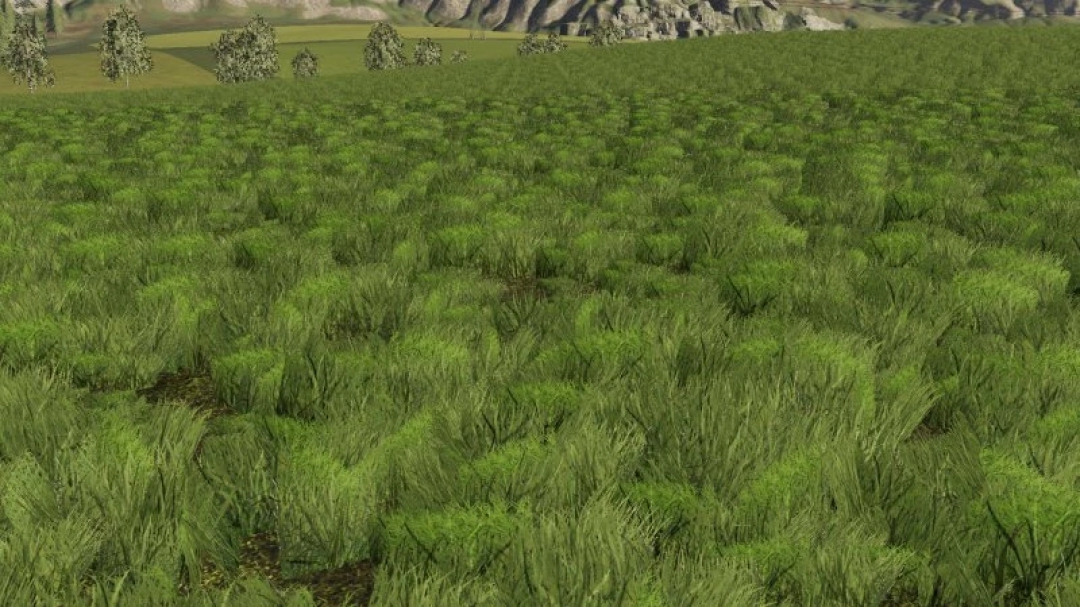 Grass texture for FS19 v1.0.0.0