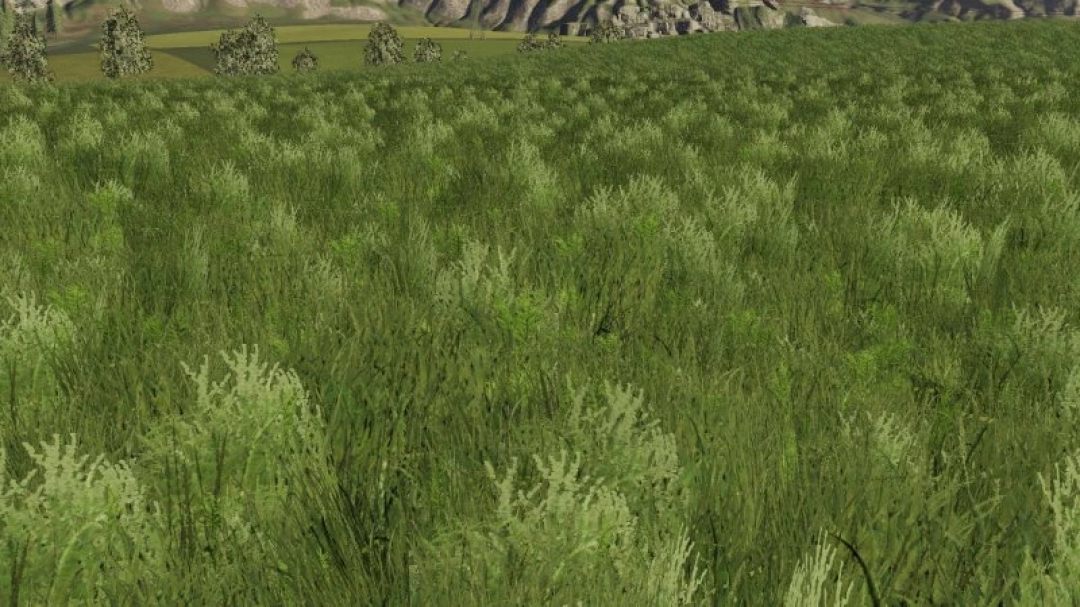 Grass texture for FS19 v1.0.0.0