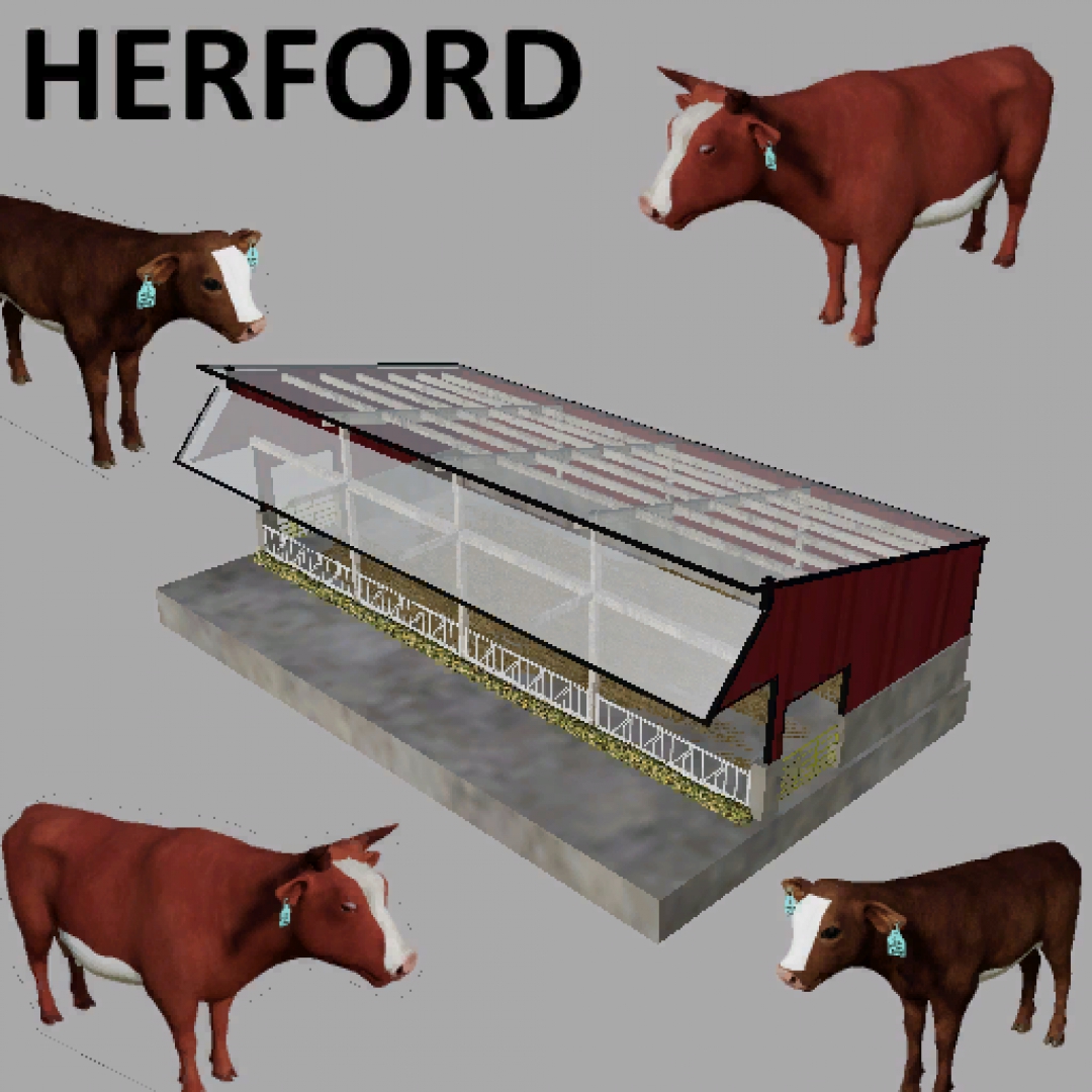 Herfords