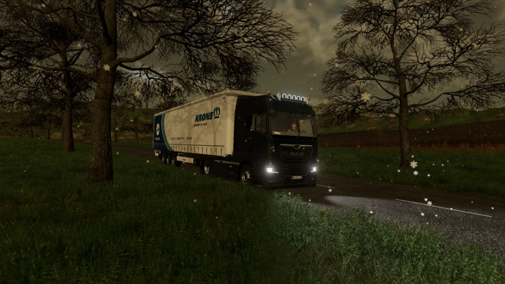 Image: MAN TGX 2020 v1.0.0.1 0