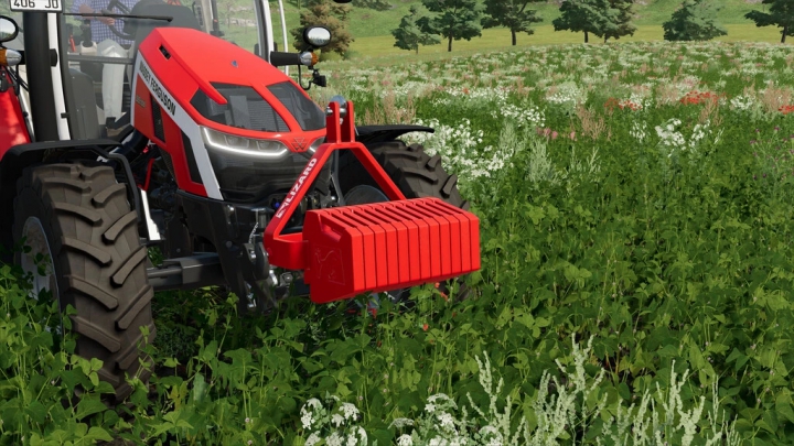 fs22-mods, Lizard CSW300 300kg v1.0.0.0