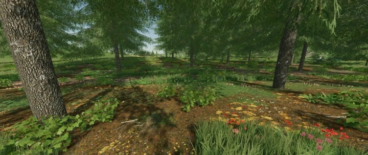 Image: FS22 Felsbrunn Map v1.0.0.0 0