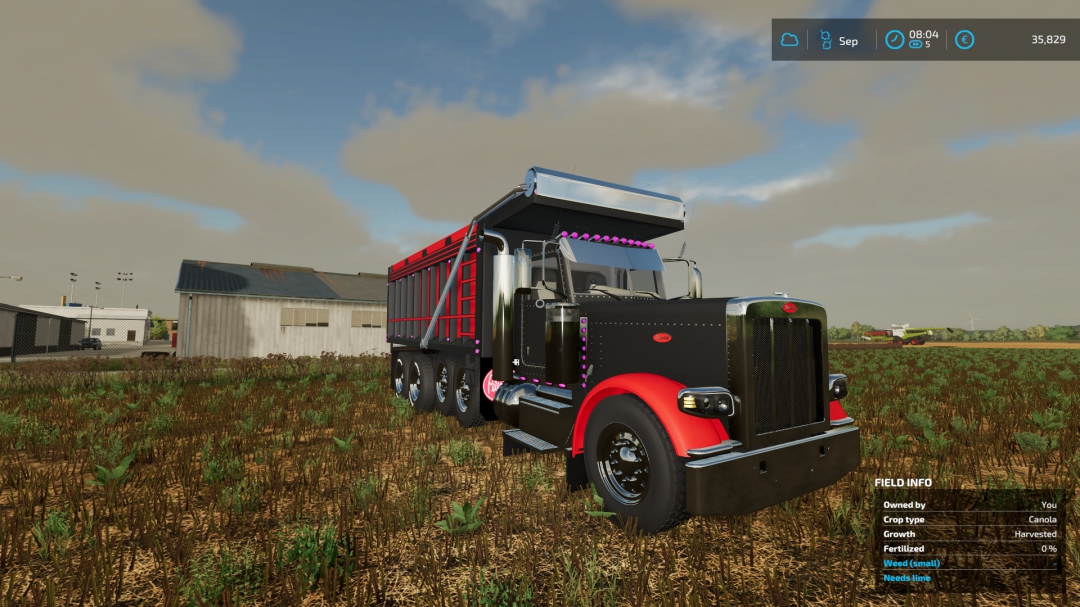 Peterbilt 379 dump V2