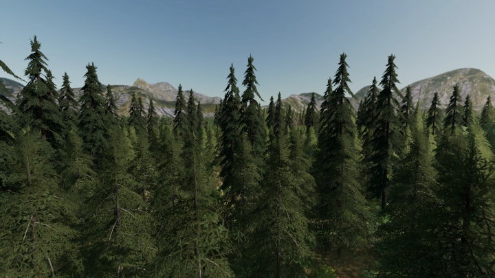 Image: Forest Valley v1.0.0.0