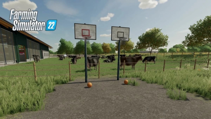 BASKETBALL SET v1.0.0.0