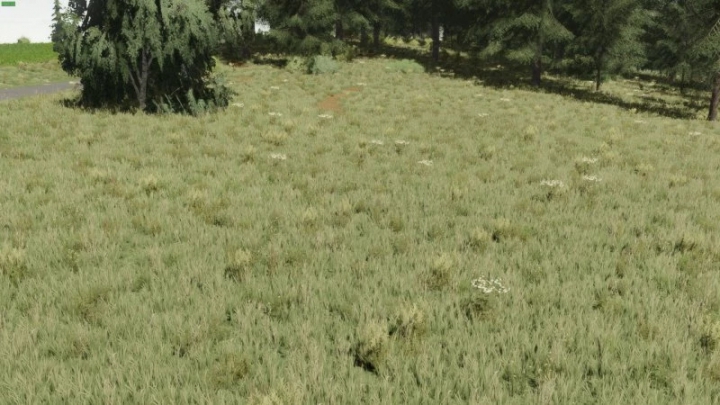 fs22-mods,  Textures Meadow v1.0.0.0