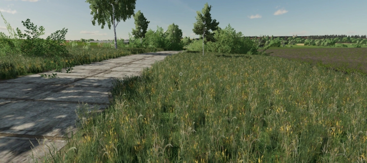 FS22 Magyar TSZ v2.0.0.0