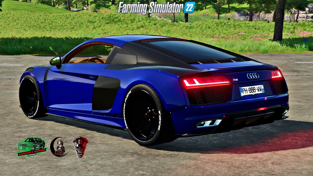 Audi R8 Alpil RSR