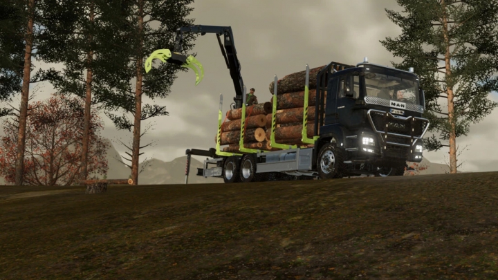 Image: MAN TGS Shortwood v1.0.0.0 0