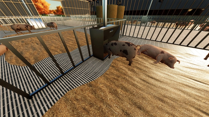 Image: CC Hog Shed v1.0.0.0 4