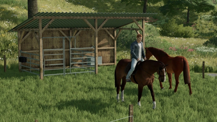 Image: Small Horse Pasture v1.0.0.0 0