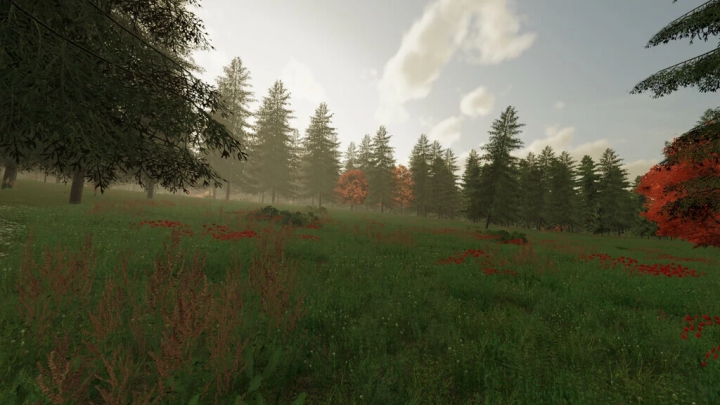 Image: The Risoux Forest v1.1.0.0 4