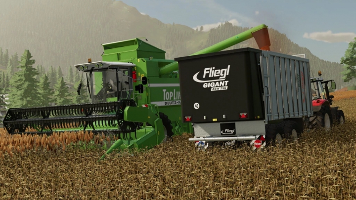 Image: Fliegl ASW 256 v1.0.0.0 2