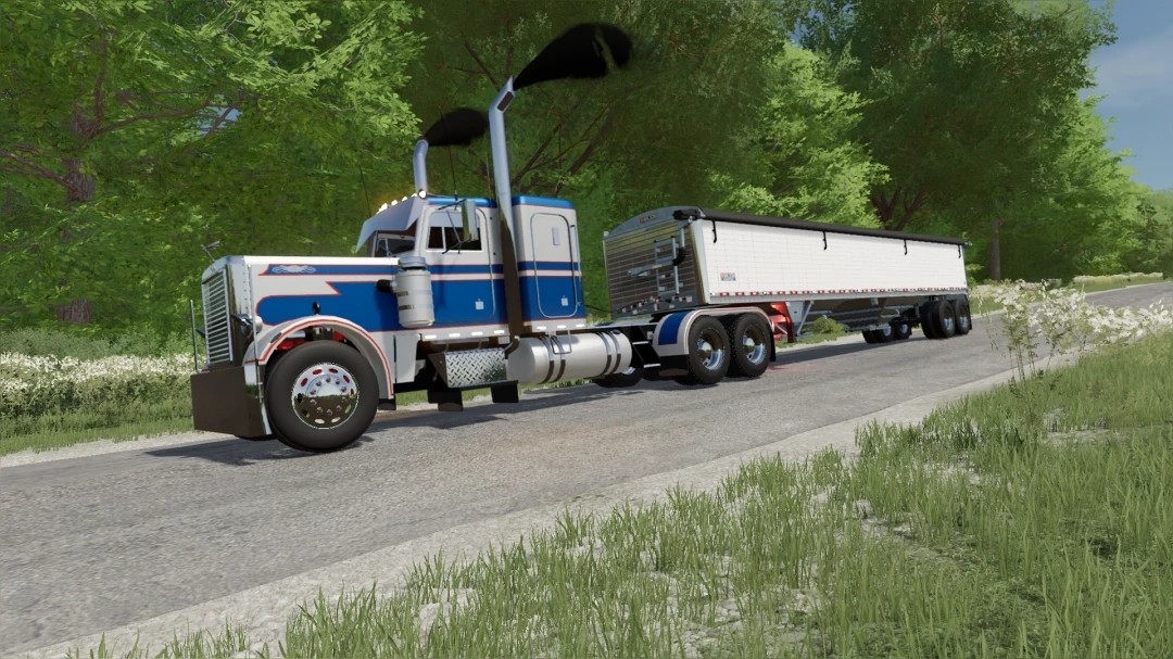 359 Peterbilt Custom v1.0.0.0