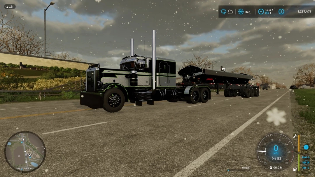 359 Peterbilt Custom v1.0.0.0