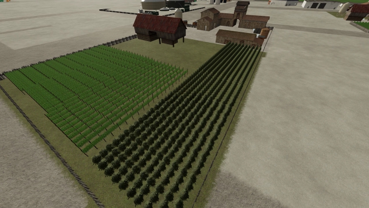 Image: Plantation for Grape & Olive 1.0