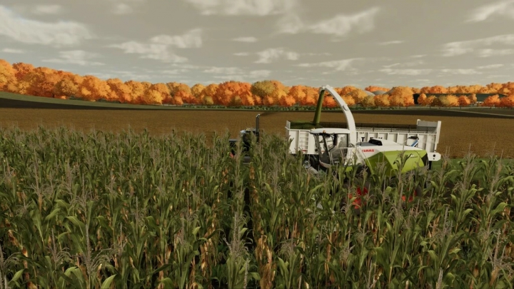 Image: Claas JAGUAR 900 Type 502 v1.0.0.0 3