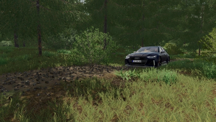 Image: Audi RS6 Avant C8 v1.0.0.0 4