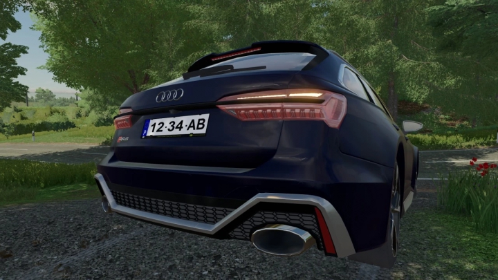 Image: Audi RS6 Avant C8 v1.0.0.0 1