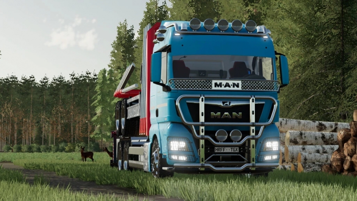 Image: MAN TGX Forest Special v1.0.0.0 3