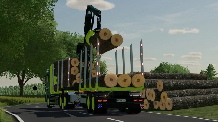 Image: MAN TGX Forest Special v1.0.0.0 2