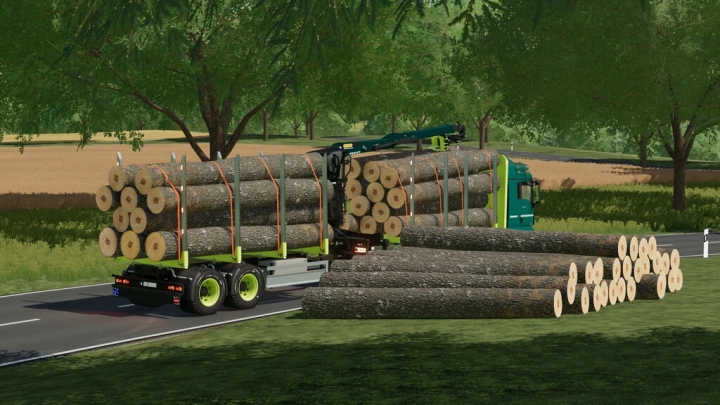 Image: MAN TGX Forest Special v1.0.0.0 4