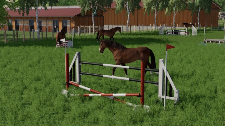 Image: Obstacles Horse Sport (Prefab) v1.0.0.0 0