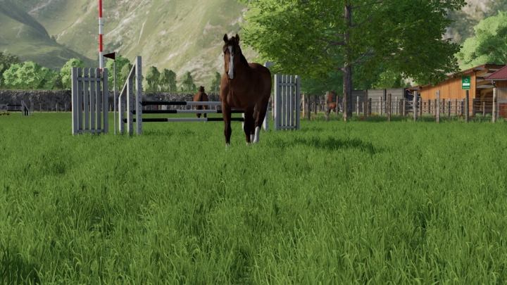 Image: Obstacles Horse Sport (Prefab) v1.0.0.0 1