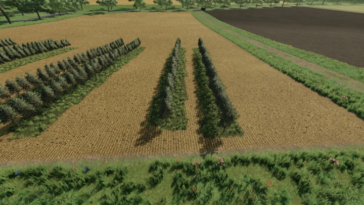 fs22-mods,  Variable Olivevine Widths v1.0.0.0