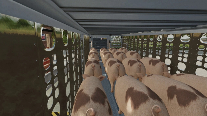 Image: Wilson Silverstar Livestock Trailer v1.0.0.0 5