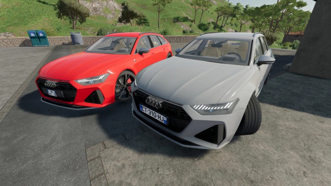 Audi RS6 Avant C8 v2.0.0.0