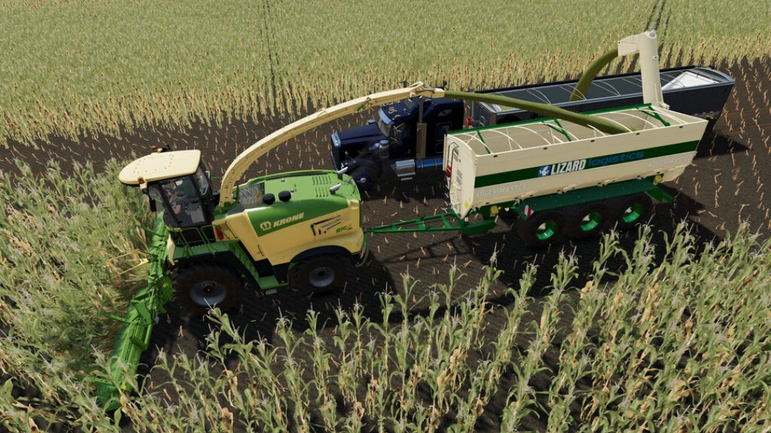 Lizard Auger Master v1.0.0.0