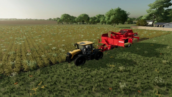 Image: Grimme SE260 v1.0.0.0 3