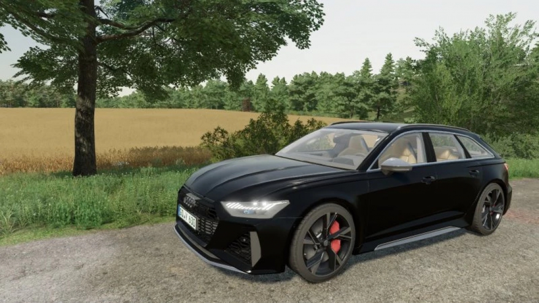 FS22 Audi RS6 Avant 2020 v1.0.0.0