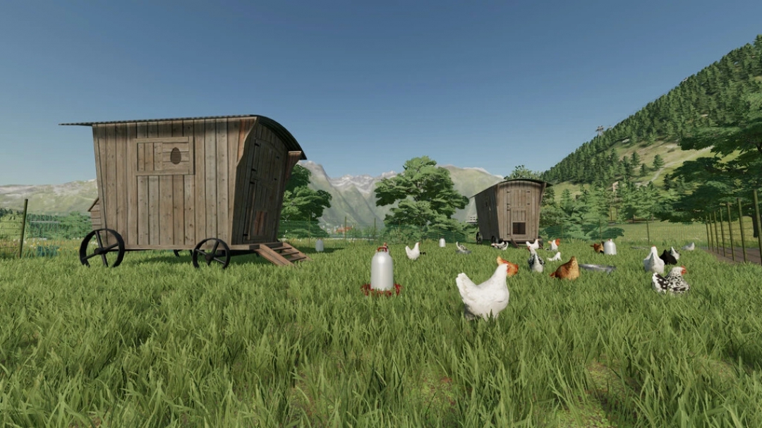 Large Outdoor Chicken Coop v1.0.0.0